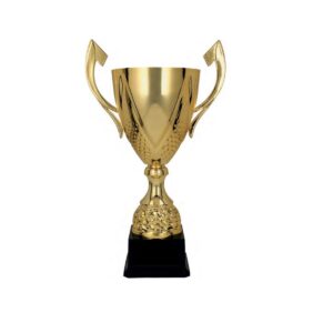POKAL 3133 C- 46CM